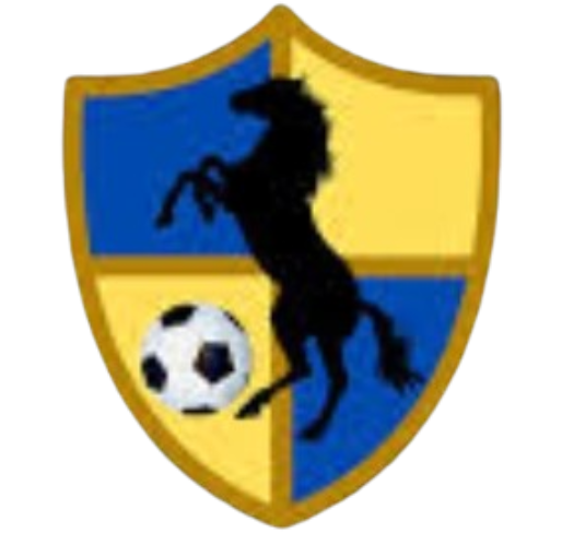 競(jìng)技聯(lián)隊(duì)